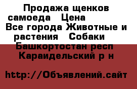 Продажа щенков самоеда › Цена ­ 40 000 - Все города Животные и растения » Собаки   . Башкортостан респ.,Караидельский р-н